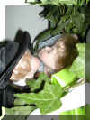 DSCN2350.JPG (30008 octets)